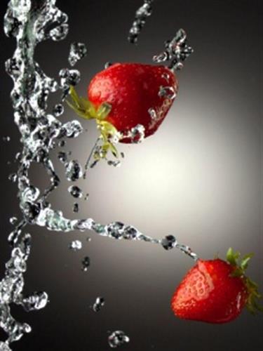 rohallah&nbsp;sajjadi